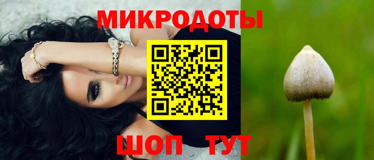 Псилоцибиновые грибы Cubensis Химки